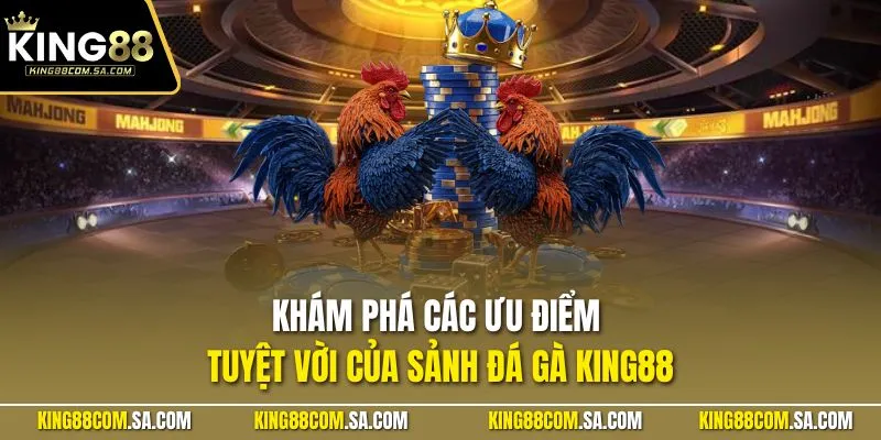 Khám phá các ưu điểm tuyệt vời của sảnh đá gà KING88