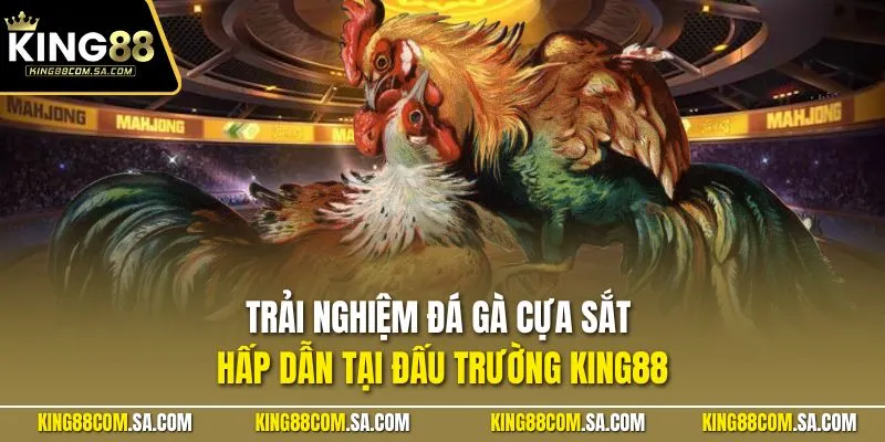 Trải nghiệm đá gà cựa sắt hấp dẫn tại đấu trường KING88